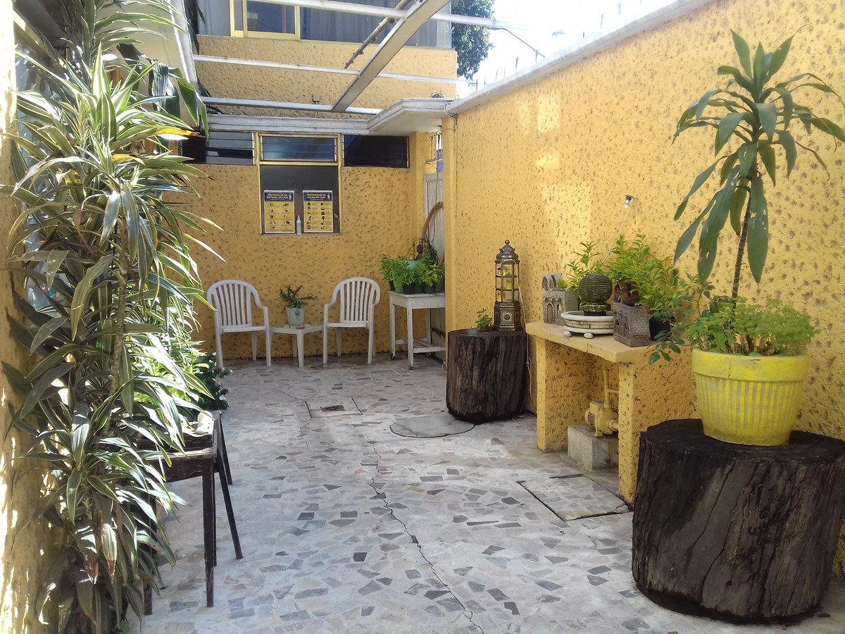 CharliesHomeMx's tweet photo. Como muestra de respeto a los guests no fumadores, se ha creado un área para fumar al aíre libre.

#CharliesHomeExperiences https://t.co/6g3tdNY5Ce