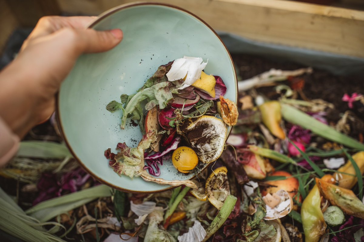 Free Webinar: Innovative Business Solutions to Combat Food Waste and Insecurity on July 29.
Learn how businesses are finding ways to mitigate the impacts of food waste and insecurity. Featuring speakers from <a href="/LongosMarkets/">Longo's</a> &amp; <a href="/B12Give/">Be One to Give</a>. 
Register today: bit.ly/2BSBRso