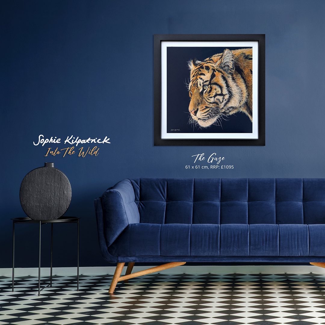 bucksfineart's tweet photo. We are delighted to introduce @SophieKilpatri6 new collection... 'Into The Wild'. Click the link to view Sophie’s Virtual Brochure: https://t.co/32swGjdm5Z
#intothewild #newcollection #originalartwork #wildcats #virtualbrochure #avilablenow https://t.co/AcHfnVt9wZ