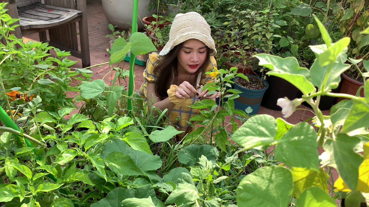 SoCuteAsia's tweet photo. Looking after my little garden <3
#garden #modeling #teen #asiangirl #asianbae #teengirl #schoolgirl #16yrsold #babyface #babygirl #yobabygirl #streaming #lovegreen #littlegirl #garden #chill #socuteasia #followme https://t.co/k8cNHNOCFS