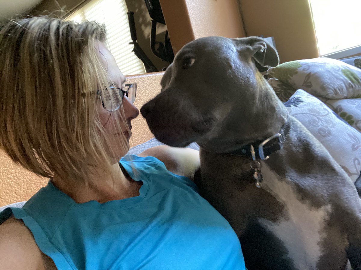 basqueo's tweet image. True love.