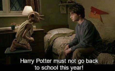 KatieMilan4541's tweet photo. Chamber of secrets 2020 version 😂😂 @SCB_Ben @jonkerlin https://t.co/O1pHwVgYzC