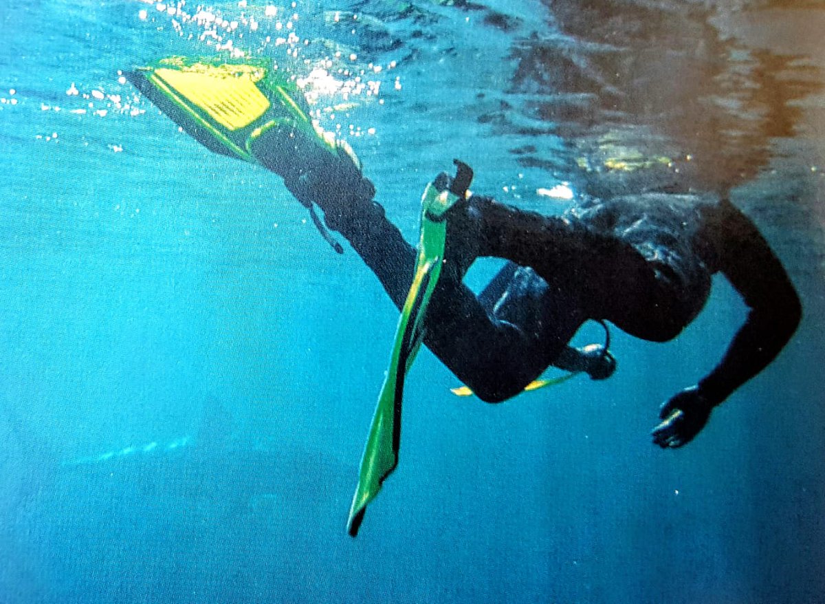 Free Diving with Great White Sharks - read my article on Linked-In to learn a bit more about this incredible activity that has captured the fascination of countless people.

linkedin.com/pulse/freedivi…