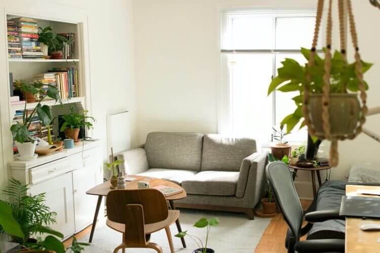 Leafi Home tweet media