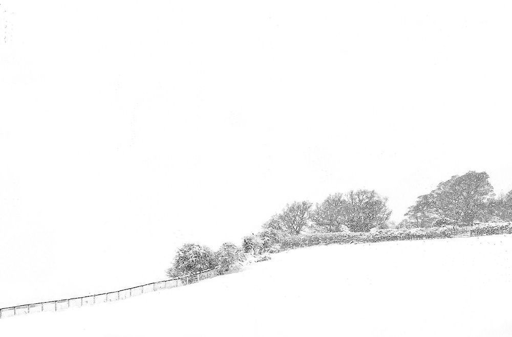 ImagesWithStories tweet media