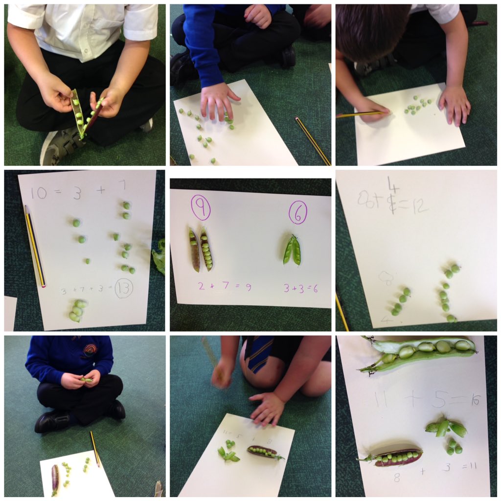 MrsClayMB's tweet photo. In the middle of our pea pod explorations - estimating how many might be inside, finding totals and writing number sentences, someone shouted "This is just like maths!" @MertonBankP @NWmathshub3 @WhiteRoseMaths #learningthroughplay #backyardmaths #EYFS #earlyyears https://t.co/iKO7C8gunB