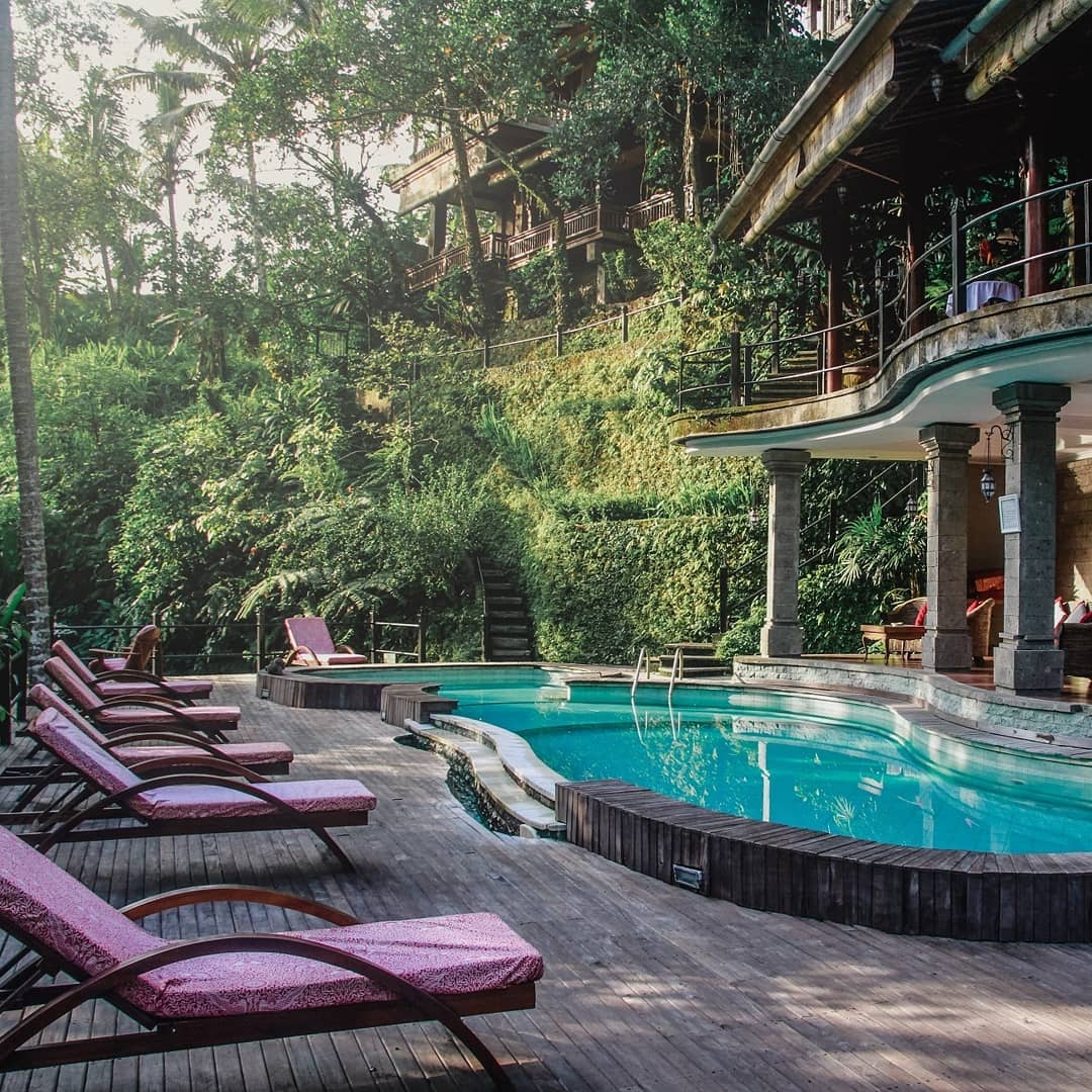 ONEWORLDBali's tweet photo. One of the many things our guests remember is how the gorgeous pool surrounded by lush greenery brought them peace and calm.⁠
⁠
We're so looking forward to welcoming you back soon! #OneworldRetreats https://t.co/YmkvB9zzih
