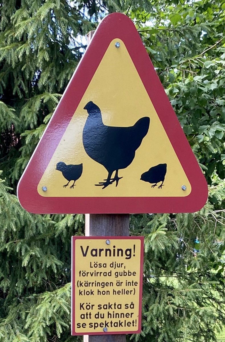 MSinikari's tweet photo. Liikennemerkki Suomen pienimmän kunnan keskustassa. Varoituksen kohde tavattu heti merkin jälkeen. 🐔
#ahvenanmaa #sottunga #liikenneruuhka https://t.co/8L3FhB6DUx