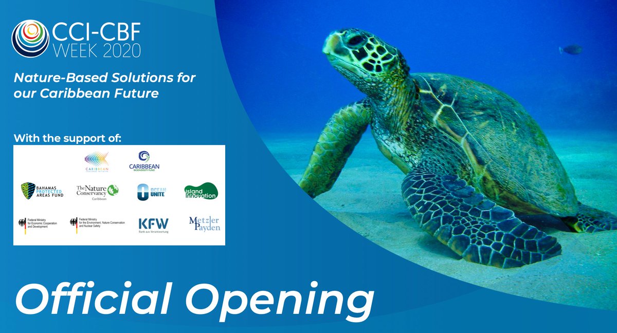 jellsmoor's tweet photo. It was a pleasure this morning to moderate the Opening Ceremony of #CCICBFWeek's first ever virtual event! @caribbiofund 

➡️ There is still time to sign up to join this week's sessions: https://t.co/b6PI6Vn6Gr

#CaribbeanBiodiversity #OceanConservation #SDG14 https://t.co/r0sSwLbalS