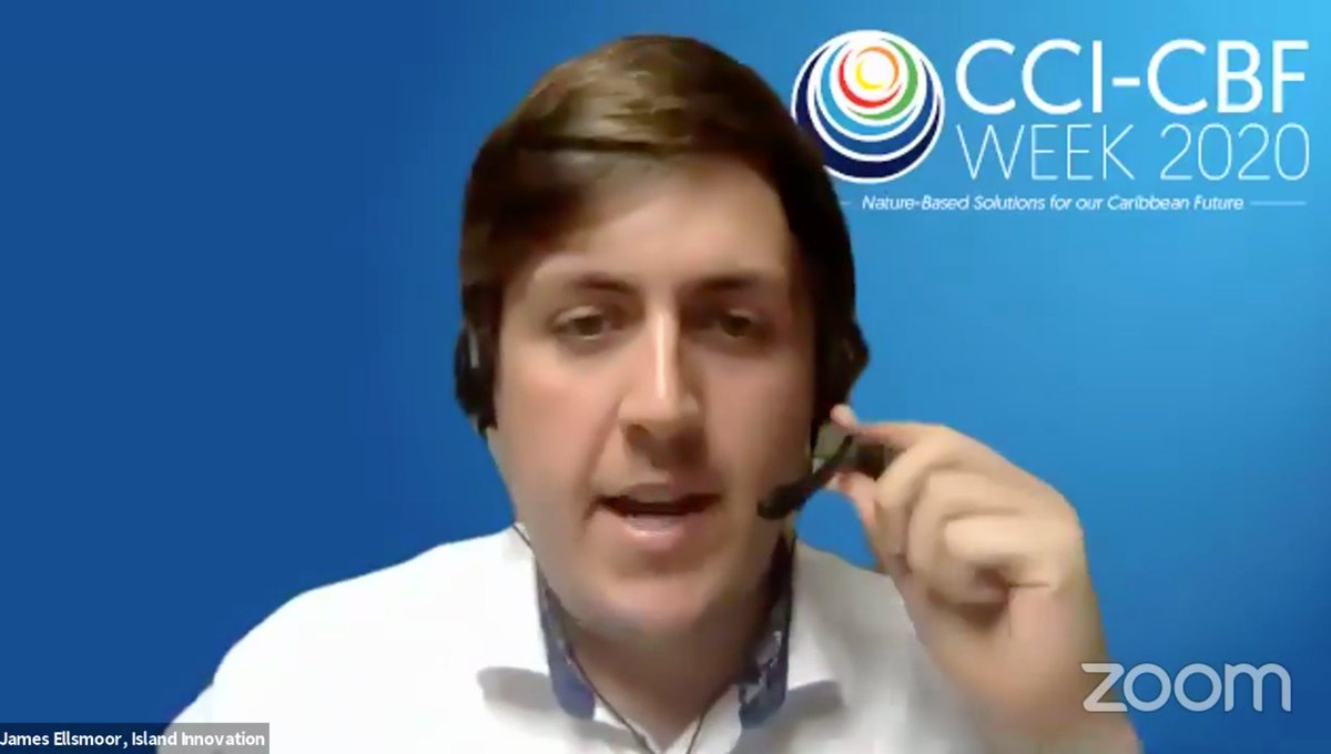 jellsmoor's tweet photo. It was a pleasure this morning to moderate the Opening Ceremony of #CCICBFWeek's first ever virtual event! @caribbiofund 

➡️ There is still time to sign up to join this week's sessions: https://t.co/b6PI6Vn6Gr

#CaribbeanBiodiversity #OceanConservation #SDG14 https://t.co/r0sSwLbalS