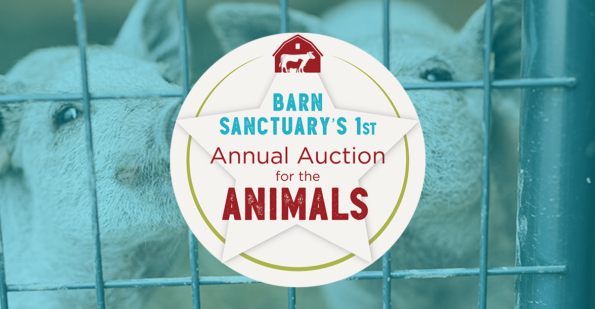 Kelly Holt tweet media