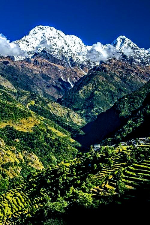 SocialTourismN's tweet photo. Trek with locals 
#Nepal #NepalReisen #wandern
#bergsteigen #Wanderung #TrekNepal #NepalTrekking #NepalTrip #NepalTour
#SocialTourism #SocialTourismNepal #Sabbatical 
#ExploreNepal 
#ExploreWithLocals 
#Adventure #Mountains 
#Memories #gapyear #SabbaticalPrograms #Responsibletrek https://t.co/kODS1RScC7