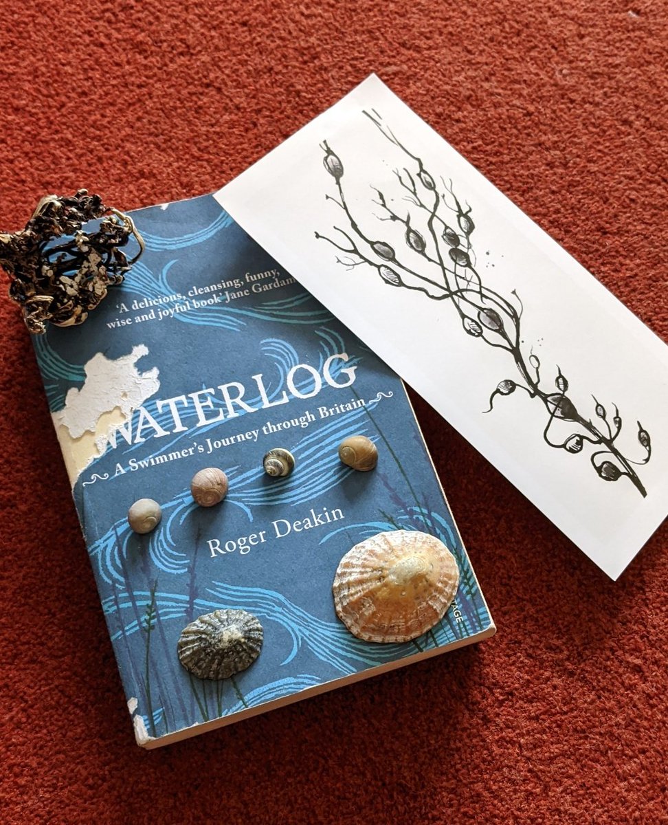 CMurr20's tweet photo. A friend sent me this lovely package the other day, including her copy of #waterlogged which has been "chewed by some sandhoppers" π
I have met the most wonderful people over the last four years and I wouldn't have it any other way!
#rspbscotland #srucstudy #studyconservation https://t.co/uZC7LVAH8B