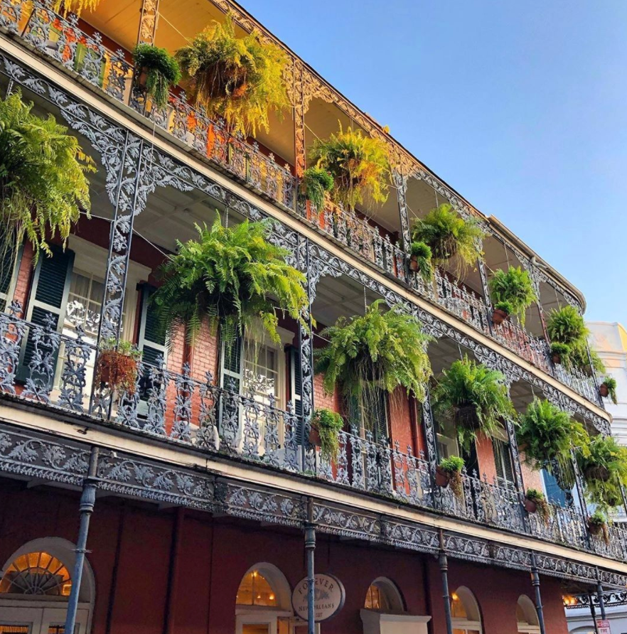 whilefat's tweet photo. Often called the Crown Jewel of New Orleans, the French Quarter is one of NOLA's most historic neighborhoods and also has a 5  out of 5 rating on While Fat! Have you been? Share you're own tips on https://t.co/Nsu4qDUeJA today. 

📷your from Visit New Orleans on Instagram https://t.co/RpHCIpyWe3