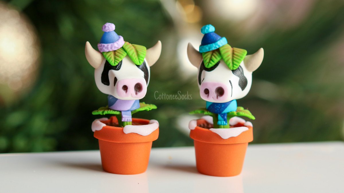 CottoneeSocks tweet picture