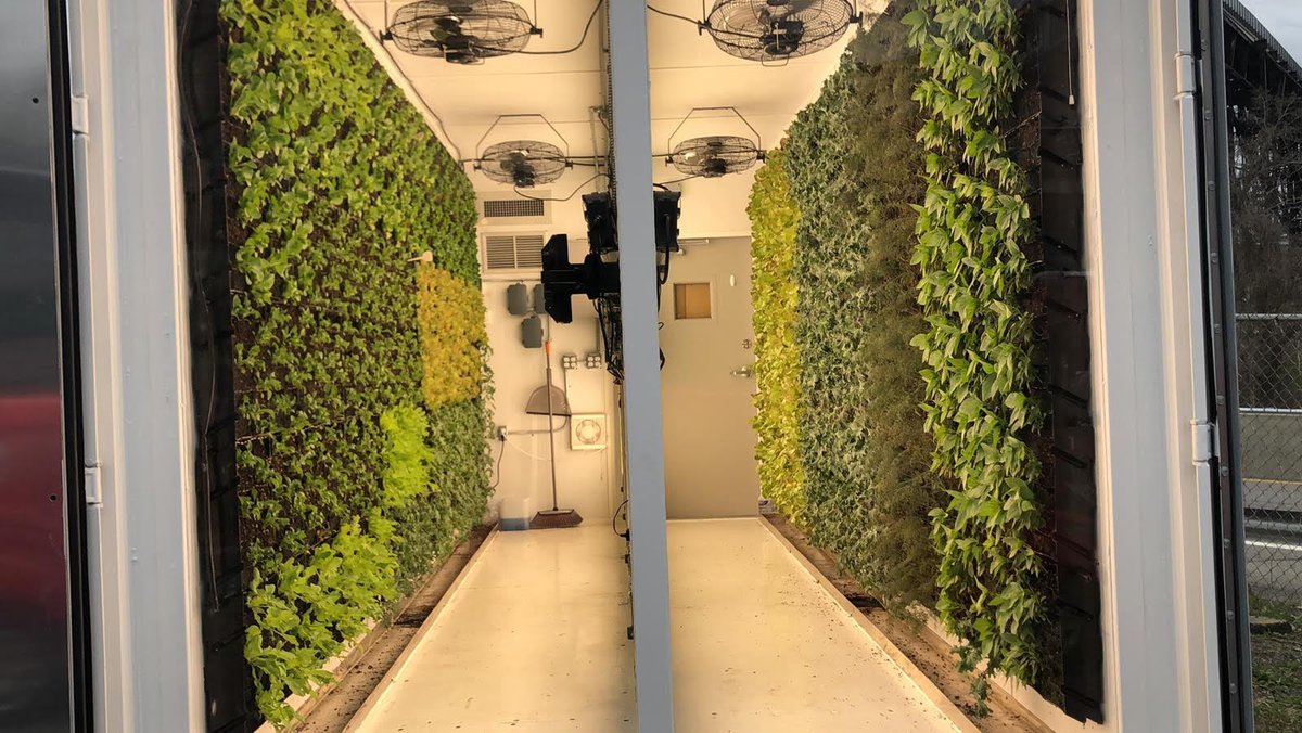 #EvergreenKosherMarket has become the first #kosher #supermarket in the country to install a 20-foot #geoponic wall farm enabling customers to purchase fresh-picked pesticide-free greens and herbs on site. The farm was installed by Israeli #agtech company #VerticalField.