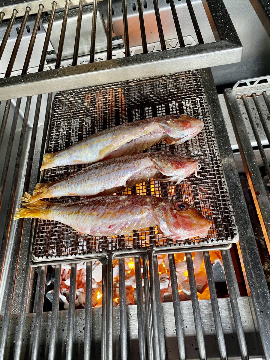robinfood's tweet photo. Esta semana en @MasDeUno veraneo a tutiplén, encendido de parrillas y barbequiús y cazuelas de atún con tomate! Viva Georgie Dann y la tanga de leopardo! @OndaCero_es @carlos__alsina #chiringuito #elnegronopuede #macumba #elbimbó #tartinable https://t.co/Hhg48YyJVk
