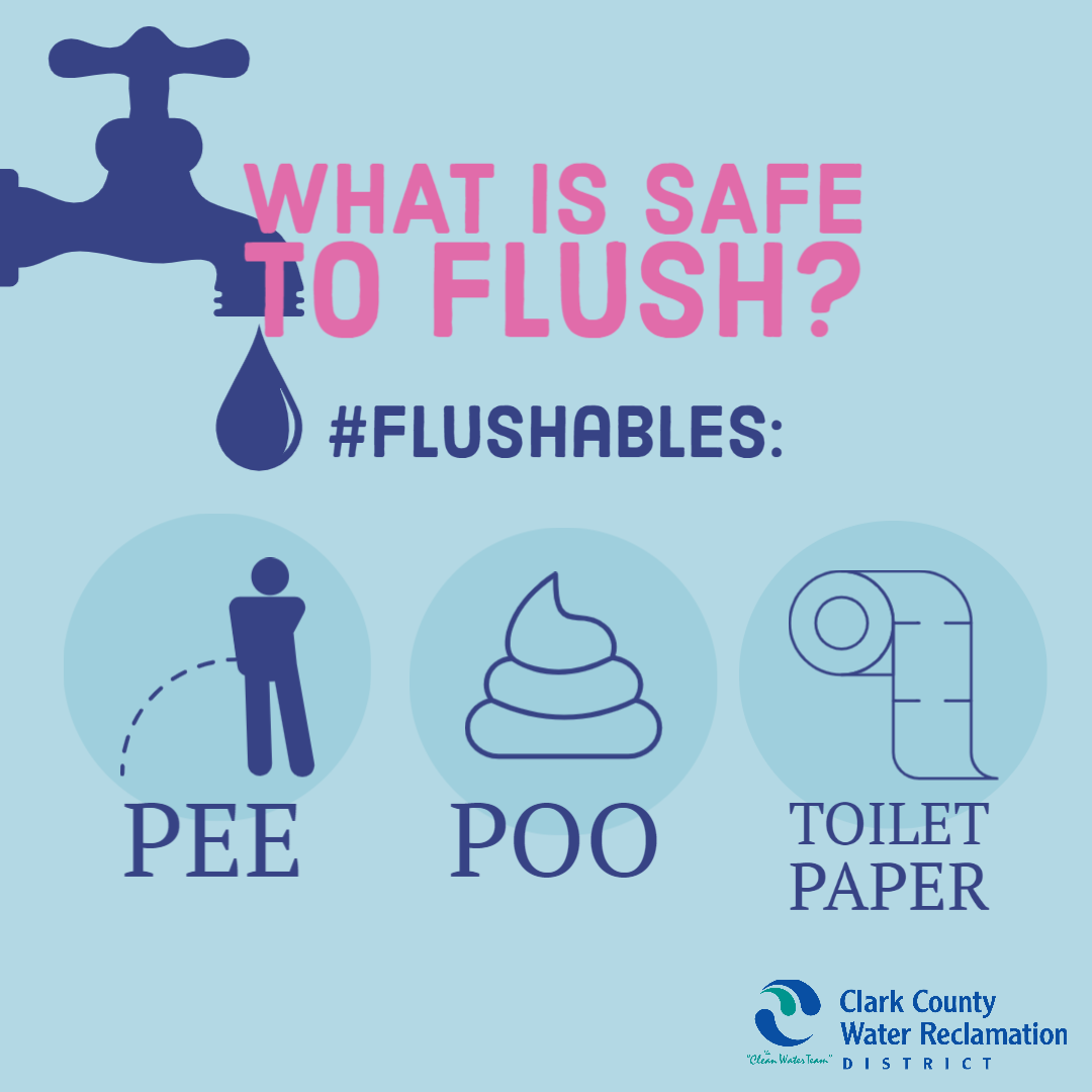 Cleanwaterteam's tweet photo. If you're flushing anything other than toilet paper and human waste, you're doing it wrong 👎
Share this message to help #CleanTheWater

 @CCSD_FACES @LVCCLD @TuSNHD @SNHDinfo  @UNLVCommEngage @NVALAS1 @getoutdoorsnv @RTCSNV @nevadadot @SpringsPreserve @RegionalFlood  @NevadaHLC https://t.co/79GgGkAc8i
