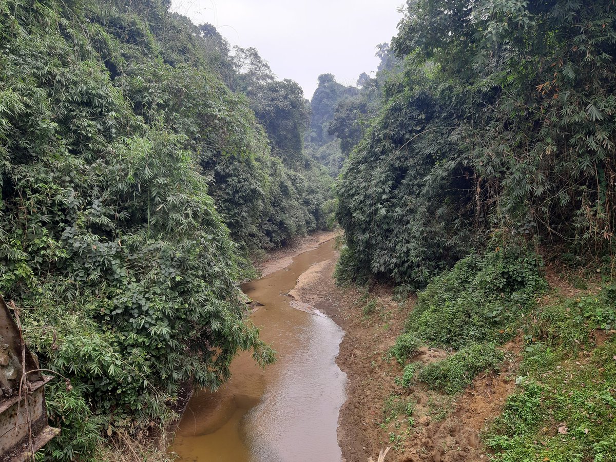 SandeepGogoi_'s tweet photo. #Complete_DehingPatkai_WLS_500sqkm
@naturesbeckon https://t.co/pxiGXDIbBc