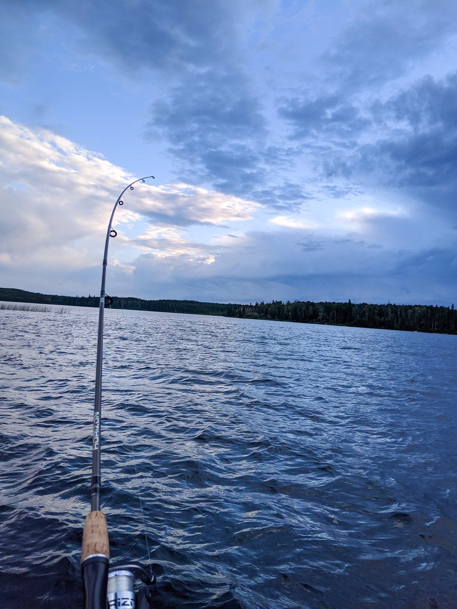 CarsonCook_'s tweet image. Even fish practice social distancing it seems 🙅🏼‍♂️🐟
↓
↓
Ya win some, ya loose some. We definitely lost this one. The fish win this round 🥊
#Camping #Fishing #Socialdistancefish