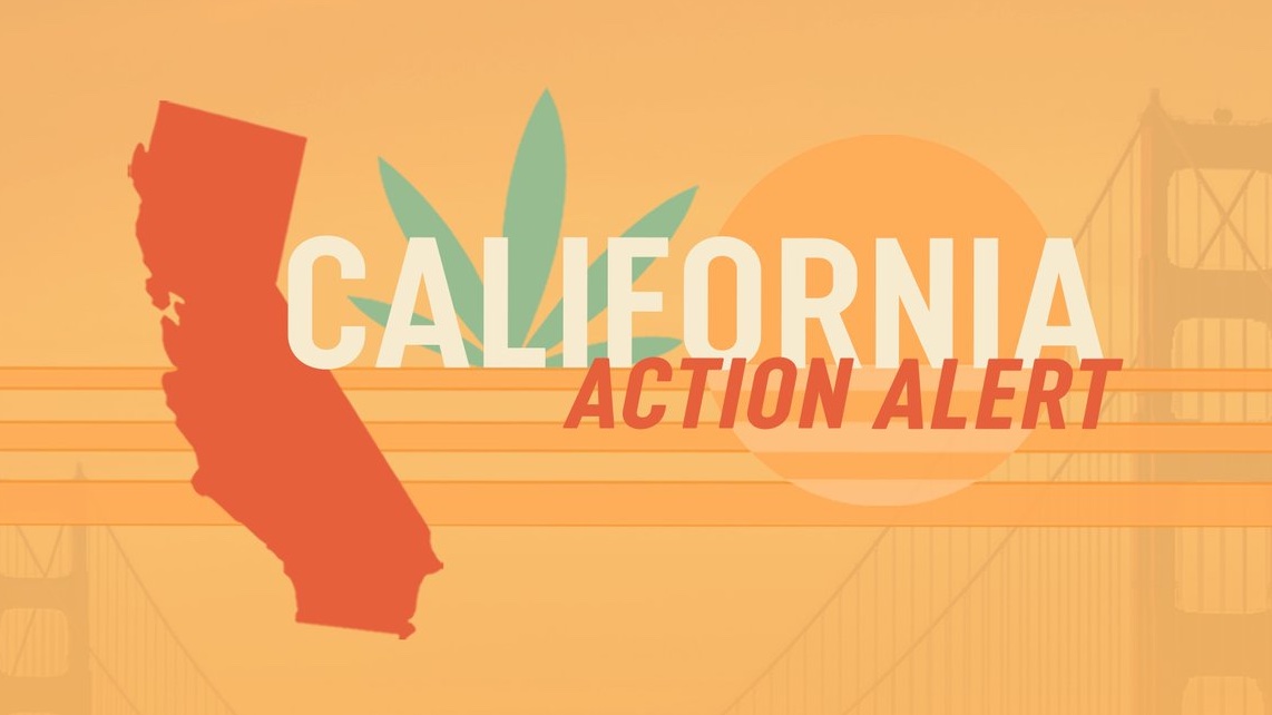 ⚠️WE NEED YOUR URGENT HELP IN #CALIFORNIA⚠️

Legislation will soon be re-introduced in Sacramento to provide explicit protections for the retail sale of #hemp-derived #CBD in foods, beverages and dietary supplements: hempsupporter.com/state-action/ca