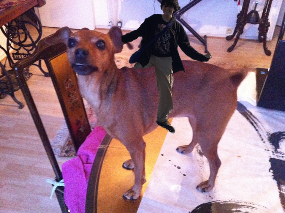 SuperSimorgh's tweet photo. #pettrain 
1 : Monsieur Bubulle 7ème du nom (qui a fini dans un lac vu que il sera mieux la dedans que dans son vocal pas top)
2 : Un crabe que j'ai trouvée
3: Chien géant !!!
I tag @Astaror_Sodora (je sais que t'aime bien quand on te tag c:<) @ThomasBouch2 @Arimar159 https://t.co/MjyCUQE0VK