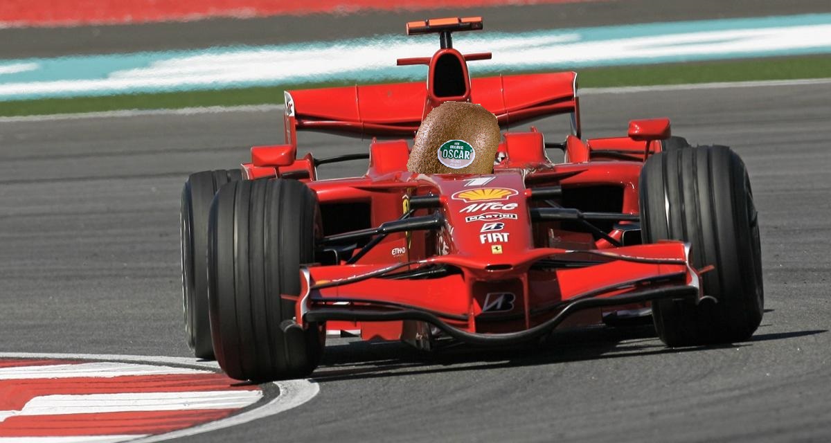 pepite56150's tweet photo. Kiwi Räikkönen https://t.co/nEr81D8Xgi