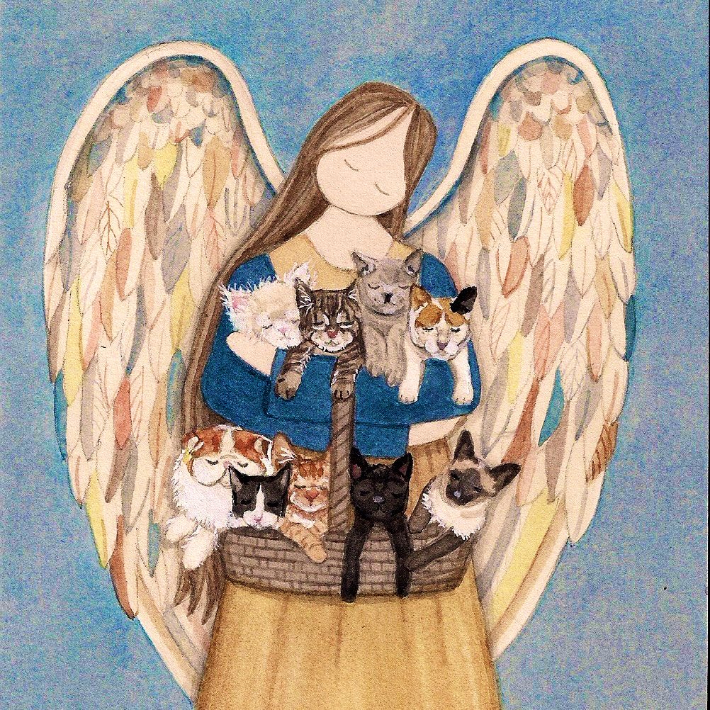 GeneralCattis's tweet photo. @peetsfeets My friends, there are no words to heal your hearts. Peetie now runs free OTRB🌈 with old friends and new—and he will be saving up stories of all his adventures to share with you when you one day meet again. Sending healing purrs and gentle headbutts to you...💞 #PlayInPeace https://t.co/soJ930VIAV