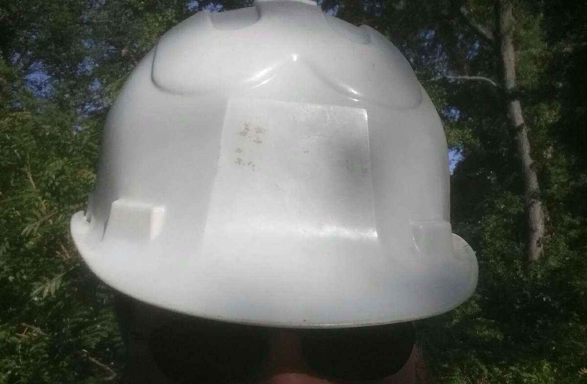 One of the cedars has to be trimmed--technically needs removedDoc is in charge of giving it a trim so it is off the roof and I had to don an old hat to assist from the ground with the powered pole saw