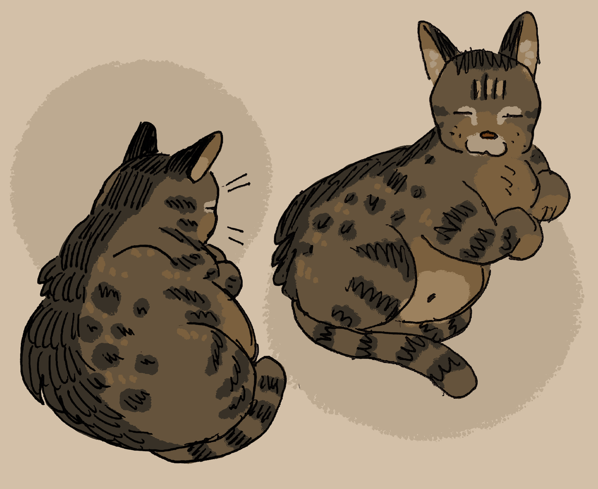 simeoneart's tweet photo. i spose ill hop onto the #NobodyArtistsClub #under10kgang #under1kgang im Syd i like drawin my cats and makin funney jokes https://t.co/ORtxZXPsuc