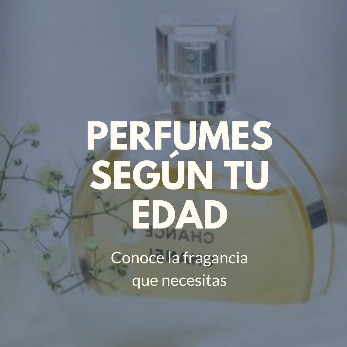 BeYou35's tweet photo. ¡Hola chicas! 🙋🏾‍♀️ Hoy les compartimos un post muy interesante y de mucha utilidad 🥰.

Todas tenemos un gran dilema al momento de escoger nuestro perfume o fragancia ideal, por eso les dejamos una sugerencia de que fragancia es la mejor para ustedes según su edad 💗 https://t.co/ZyUS0mhTvs