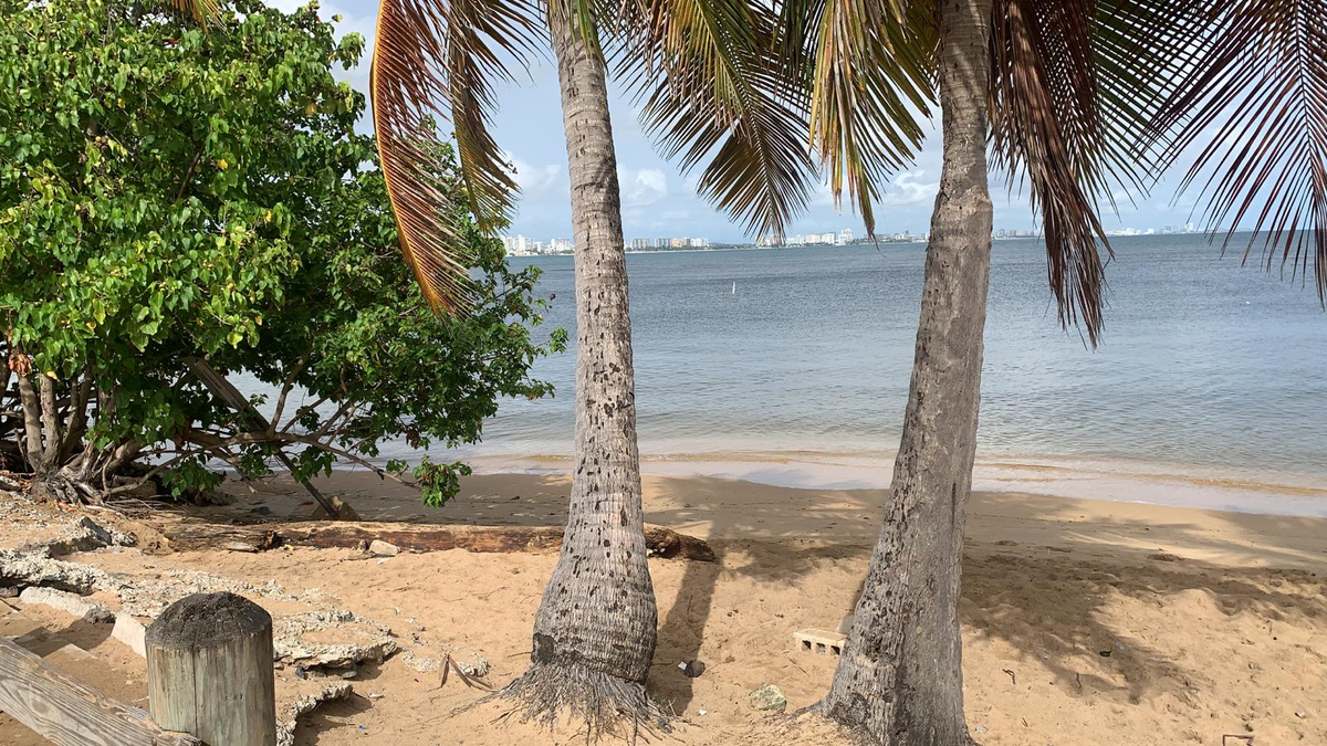 DRNAGPR's tweet photo. Hoy estuvimos recogiendo la basura en el área de The Reef en Piñones con la ayuda de @LimPiaR_Project. Les recordamos que si los zafacones están llenos, NO dejen basura tirada en la arena. Nuestros recursos naturales se lo van a agradecer. 🌎🏖️☀️ #LlévameContigo https://t.co/wOBlLqs3Ql