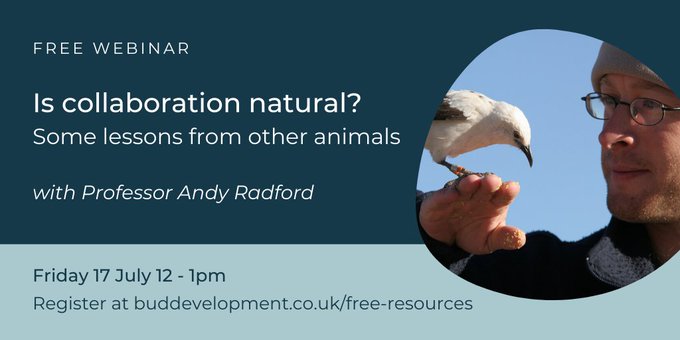Kate Tapper (@buddevelopment) on Twitter photo Just had great conversation with <a href="/Dwarf_Mongoose/">Dwarf Mongoose</a> ahead of the webinar we are hosting on Friday! It's going to be eye opening...spaces available and it's free - sign up here...buddevelopment.co.uk/free-resources/ Just had great conversation with <a href="/Dwarf_Mongoose/">Dwarf Mongoose</a> ahead of the webinar we are hosting on Friday! It's going to be eye opening...spaces available and it's free - sign up here...buddevelopment.co.uk/free-resources/