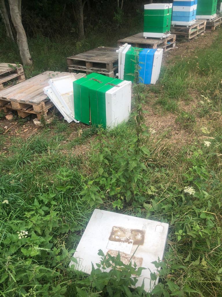 RichardHoyle1's tweet photo. If ���Brains” was to be the new disease, the people that did this would be healthy! Why push over bee hives? https://t.co/zBhNgeVN9v