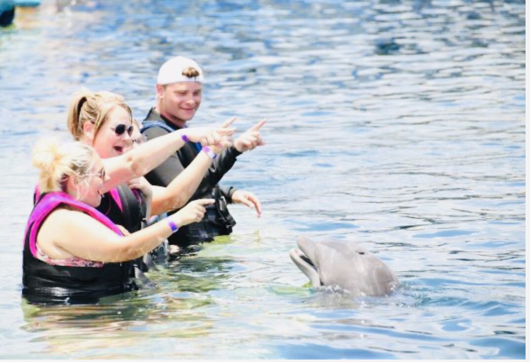 JeanetteMaple's tweet photo. Swimming with the Dolphins was so cool!!! https://t.co/yeQ3VcVH6V