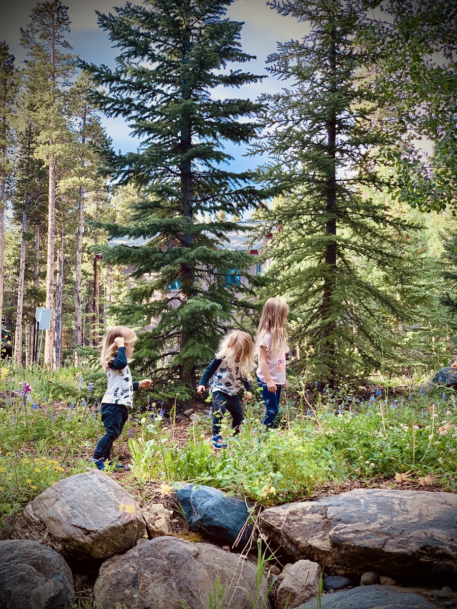 Chad Cisneros tweet media