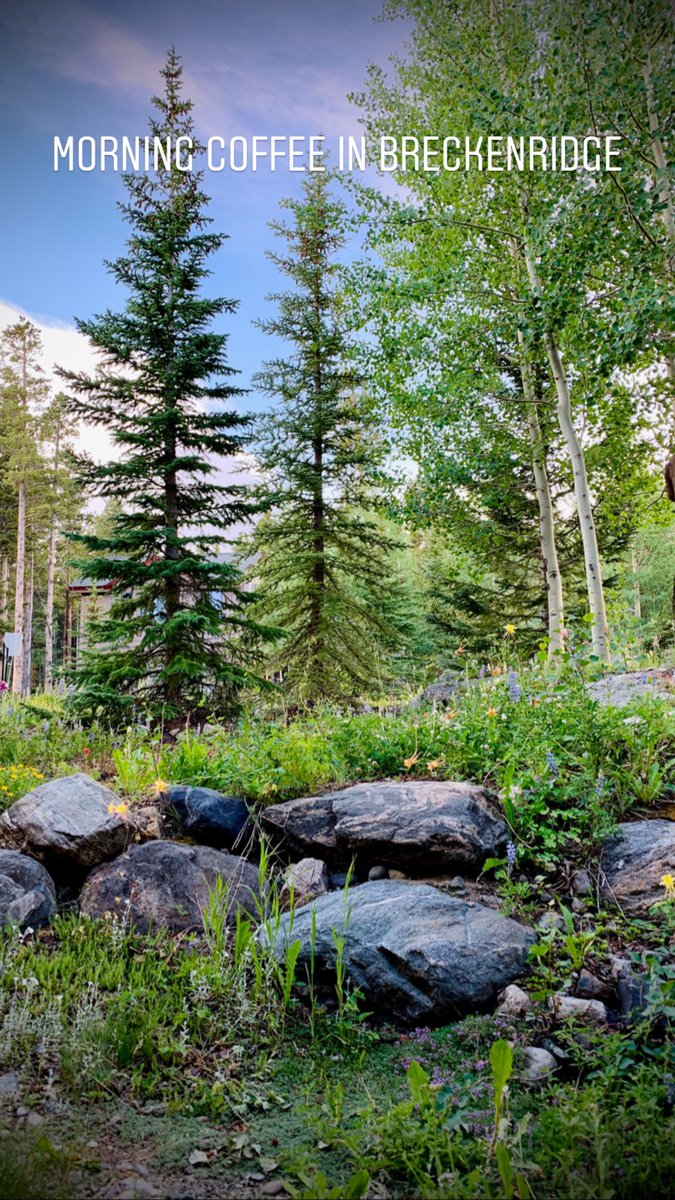 Chad Cisneros tweet media