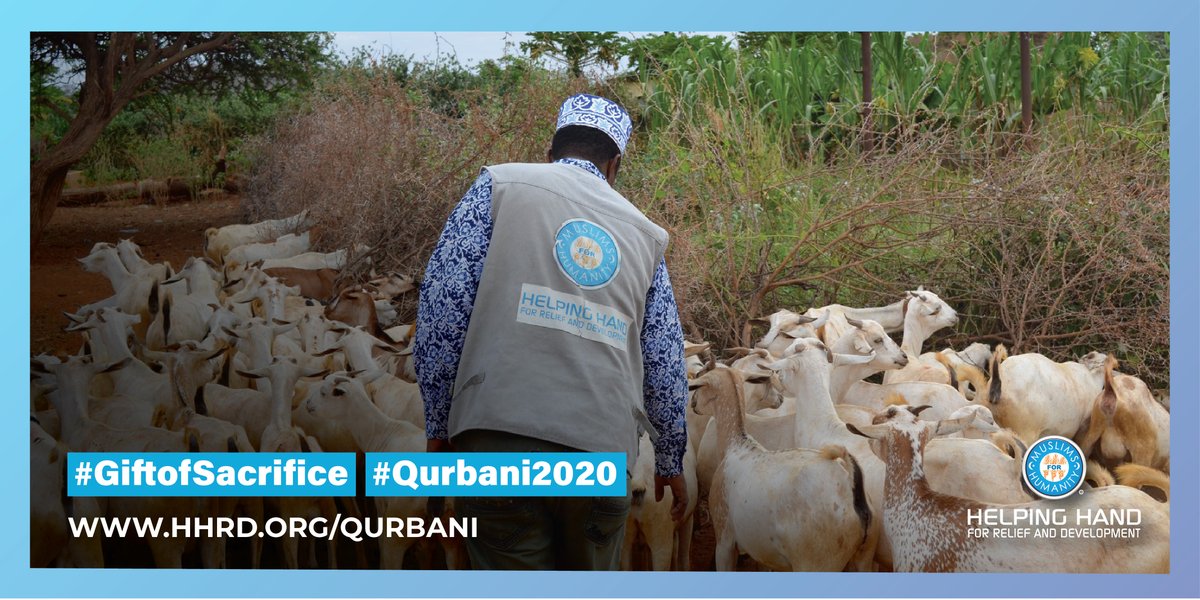HelpingHandUSA's tweet photo. Perform your Qurbani through HHRD; and InshaโAllah reap the rewards of this noble deed https://t.co/Gk964TX1YM
#GiftOfSacrifice #Qurbani2020 #EidulAdha2020 #Zabiha #Qurbani #Udhiyah #HHRD #HelpingHandUSA #TheOnlyTime #WeMeatAgain https://t.co/AQIj35bJIS