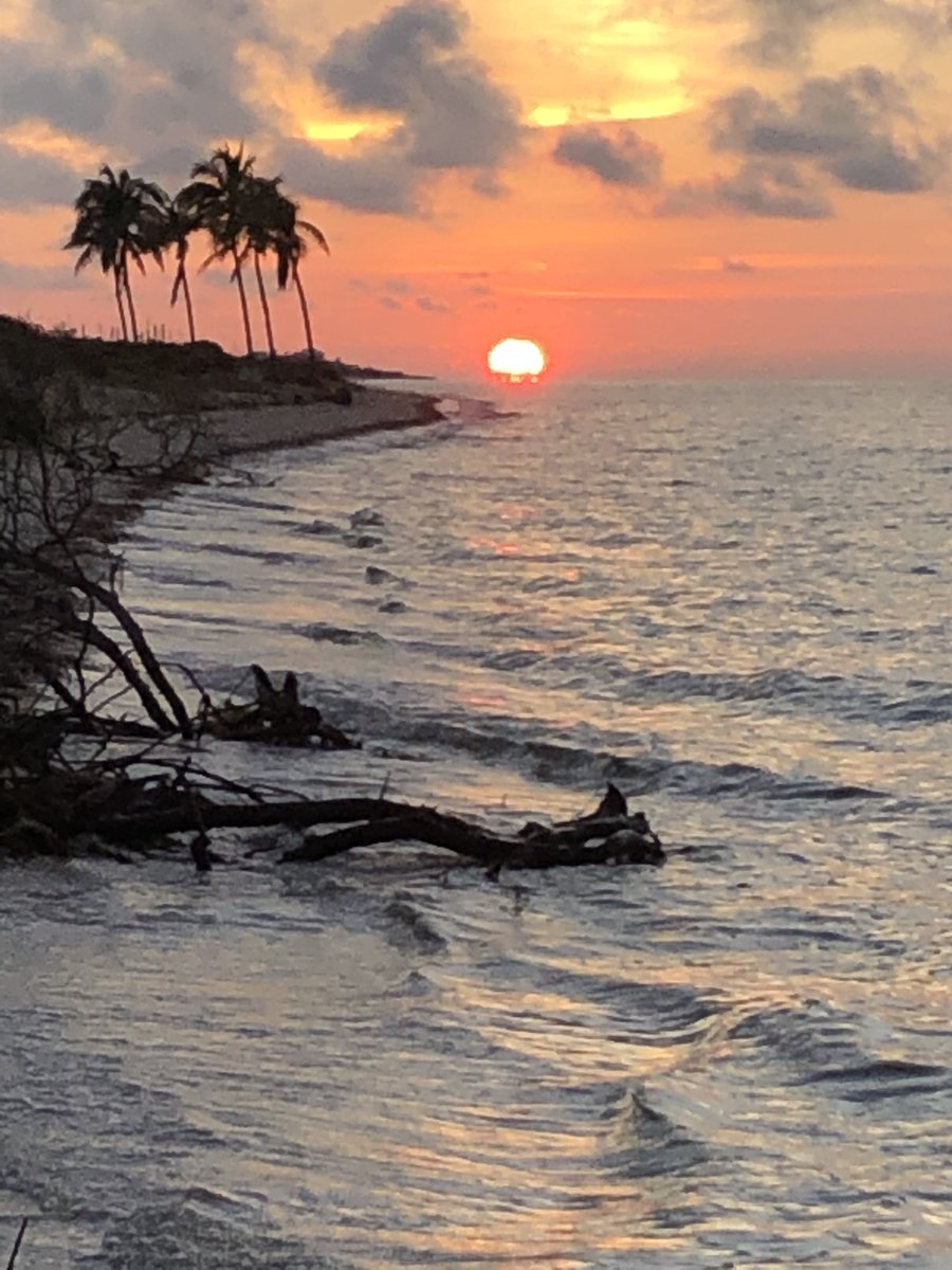 ENES_Merida's tweet photo. #SomosUNAMenYucatán "Colores de Atardecer en Telchac"
Fotografía de Alberto Frola - ENES Mérida
#MásAlláDeCOVID #PostalENESMérida #SigueCuidándote https://t.co/JBECKUqm1k