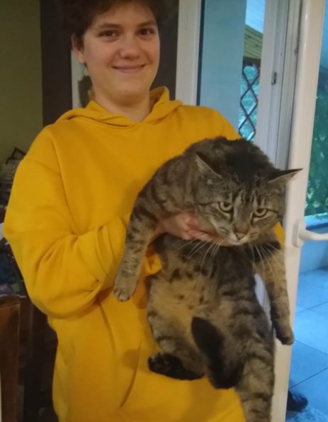 __Mayel_'s tweet photo. Alors chez moi on est globalement sur des chats, avec dans l'ordre mon chat, le chat de ma soeur, le chat de ma grand mère et le chat du voisin. 

#pettrain https://t.co/ZPKwXOJxVu