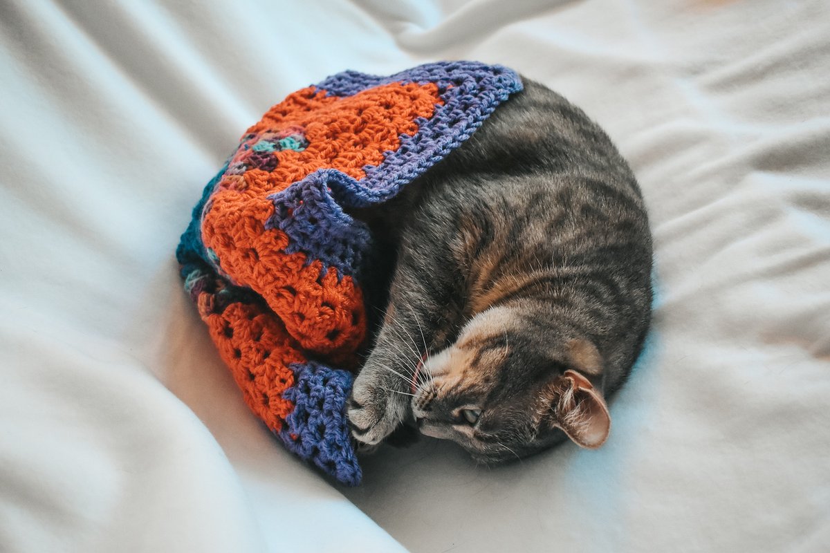 Did you know I have a crochet shop? Well, I do! My shop, Critter Crafting, specializes handmade crochet pet blankets for cats and small dogs. Read up on Cat Mat FAQ and learn more about my cozy pet blankets here: catsandcoffee.me/critter-crafti… #CatsOnTwitter #catstagram