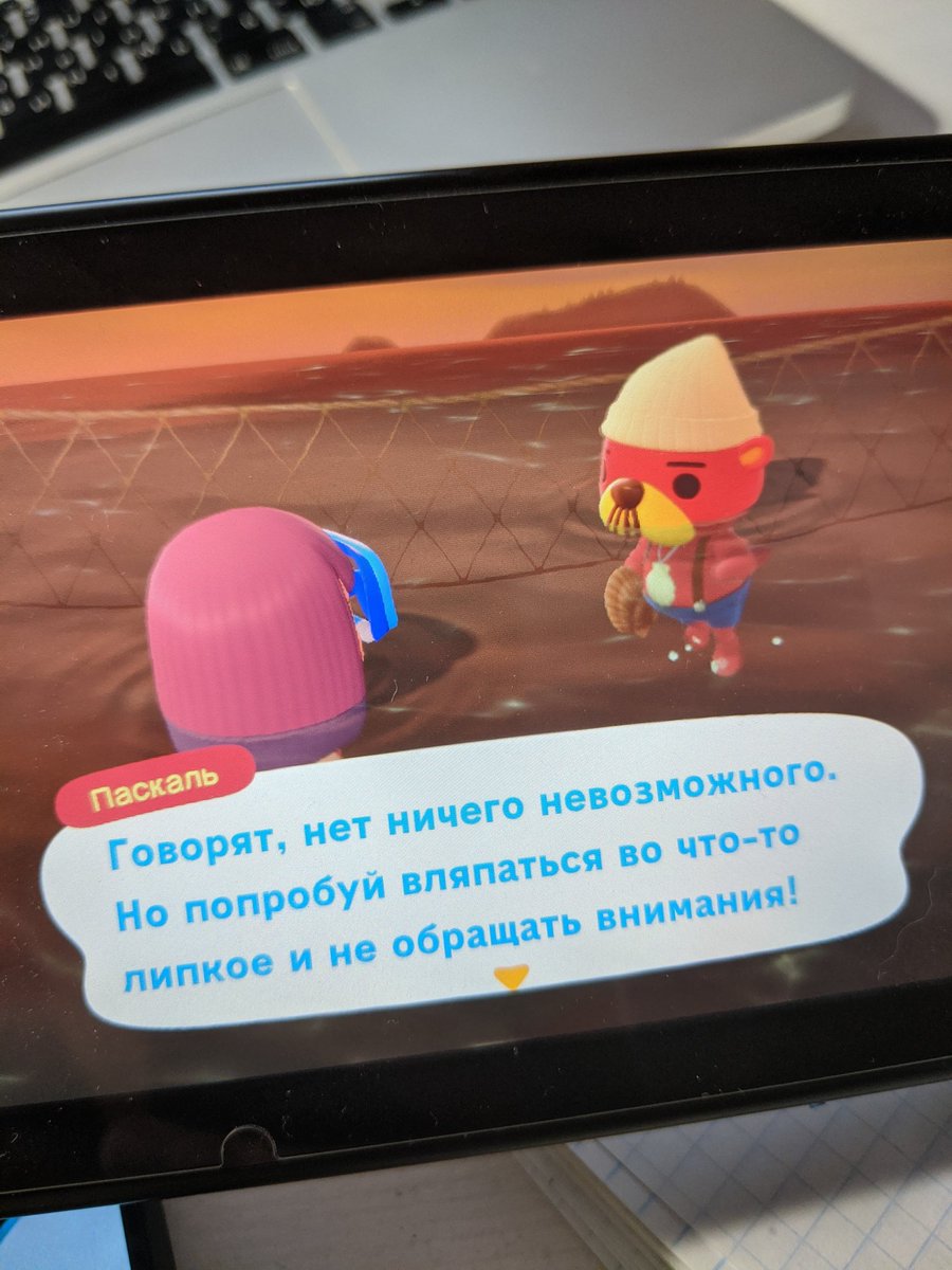 Olga Shi tweet media