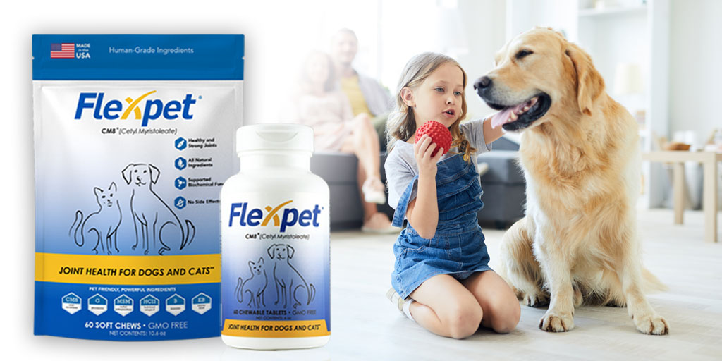 Flexpet all-natural joint supplements contain Cetyl Myristoleate, Glucosamine, MSM, Bromelain, Hydrolyzed Collagen Type II, to provide maximum joint health for your dog. And, if you don't feel like it works, we'll refund your full purchase price! flexpet.com/flexpet-differ…