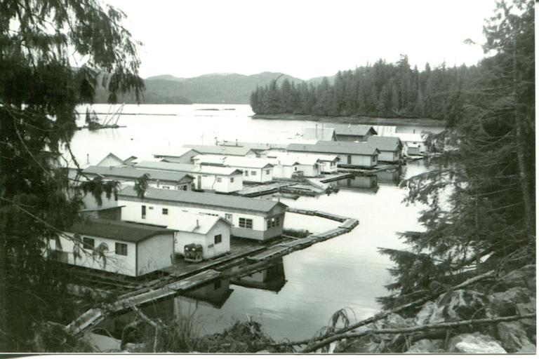 But my 1st forest love was the  @TongassNF, on whose boundaries I was born, learned to walk, harvested berries, watched bears, camped, fished, and graduated HS all while living on a floating logging camp. This pic is close to what my town looked like. #NationalForestWeek