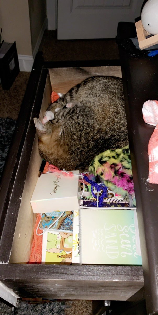 jayda37858148's tweet photo. Well I guess that’s comfortable 🤔🤷‍♀️ https://t.co/evoFQAeE18