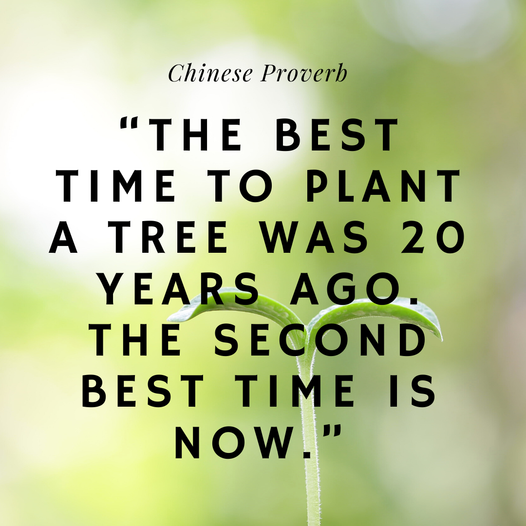 There's a Chinese proverb that says, The best time to plant a tree was 20  years ago. The second best time is now. One of the ways to invest in your  future