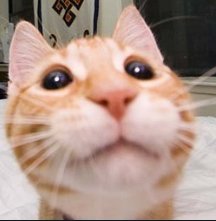 TheRegularMexican tweet media