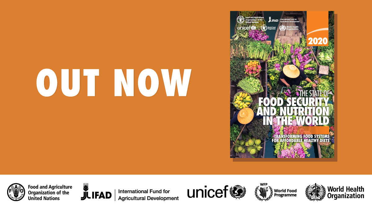 FAONorthAmerica's tweet photo. The State of Food Security and Nutrition in the World Report #SOFI2020 is OUT! 

Current estimates show that 6⃣9⃣0⃣ million people are hungry, 8.9% of the world population – up by 10 million people in one year &amp; by nearly 60 million in five years.

📙 https://t.co/dhaZF9Kl0F https://t.co/sNRFYzVPfK