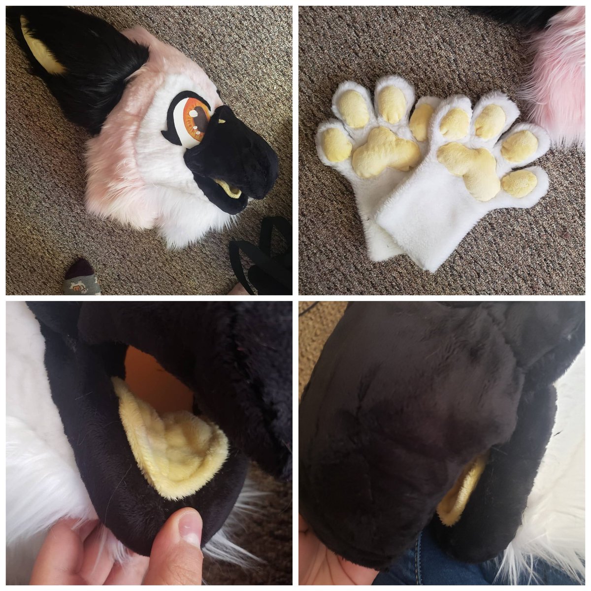 fish_dawgg's tweet photo. @cactimutt Here's my work!

#NobodyArtistClub #NobodyArtistsClub #smallfursuitmaker #smallmaker #SmallArtistClub #smallartistsclub #pocfursuitmaker https://t.co/I1FtPul3ze