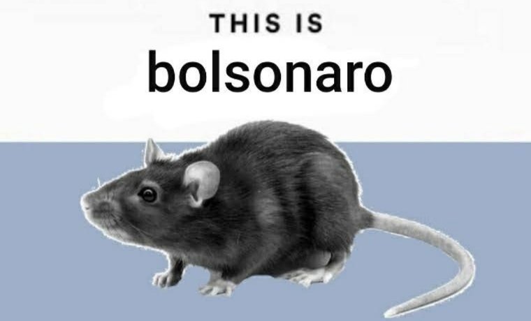 bolinhaslindas's tweet photo. @jairbolsonaro @GFiuza_Oficial Chega de Bozó, Mais #bolinhas https://t.co/c30yLQd5xB